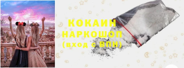 шишки Алзамай