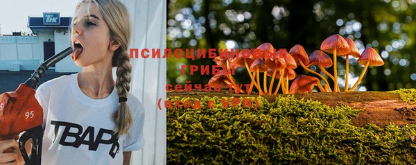 шишки Алзамай
