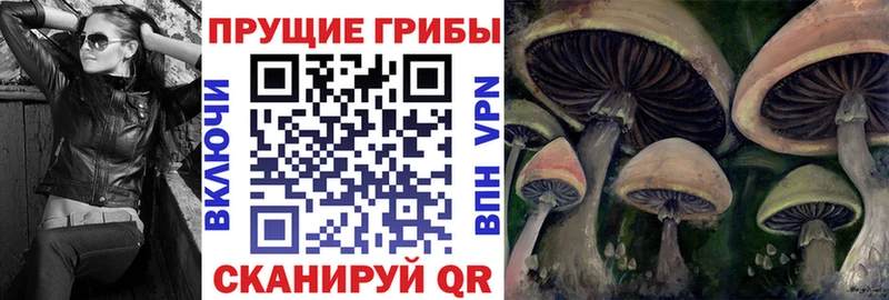 Псилоцибиновые грибы Psilocybe  Покачи 