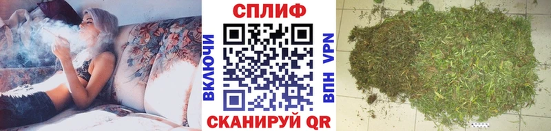 Каннабис индика Покачи